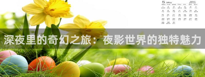 紅桃影院在線觀看免費的視頻：深夜里的奇幻之旅：夜影世界的獨特魅力