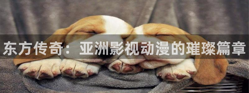 紅桃影視在線