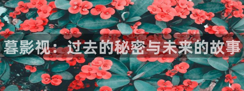 神馬紅桃影院：暮影視：過去的秘密與未來的故事